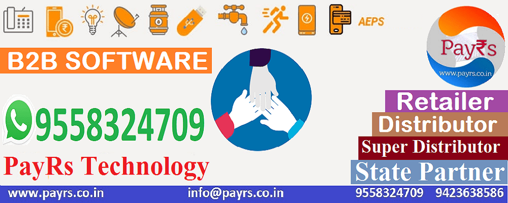 B2B-Software-Developer